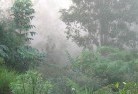 Murwillumbahlandscaping-irrigation-4.jpg; ?>